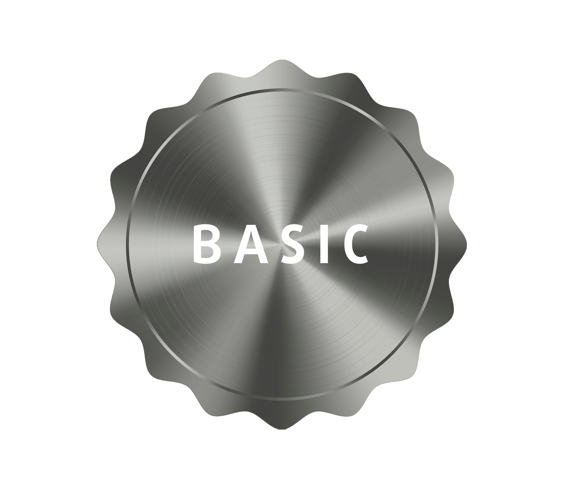 Service Package Basic