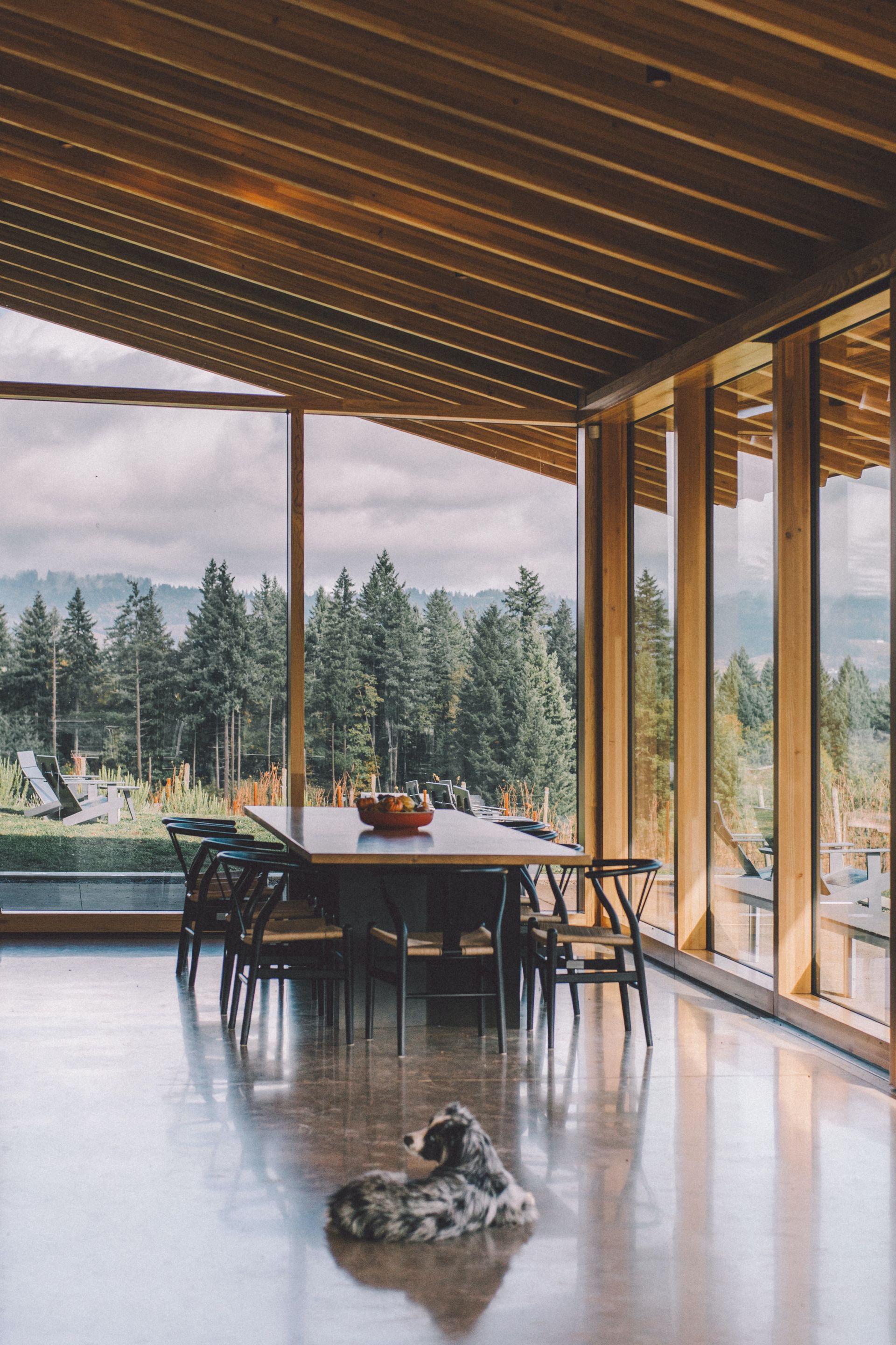 Image inside a house by the dining room with a dog looking outside surrounded by trees