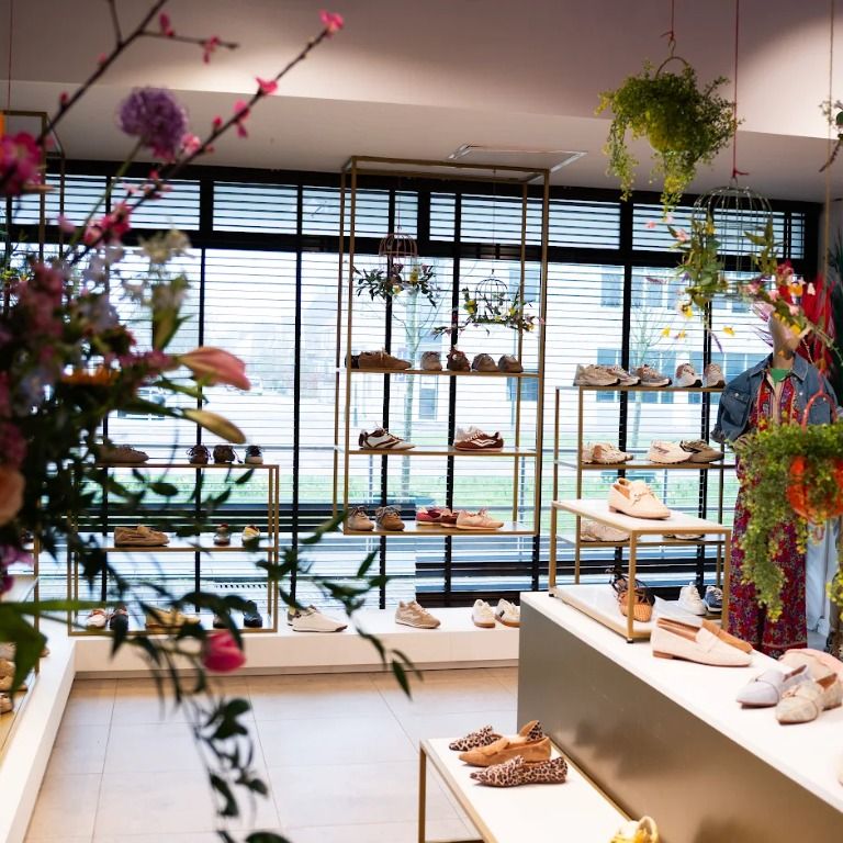 Een modern interieur van een schoenenwinkel met netjes gerangschikte schoenen op de planken. Grote ramen en decoratieve planten versterken de lichte, uitnodigende ruimte