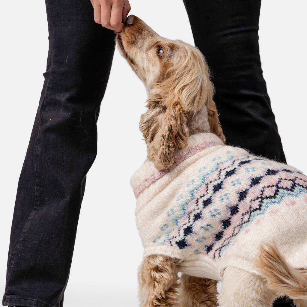 A brown dog takes a treat from their pet parent&#39;s hand while wearing the oatmeal Lumi set