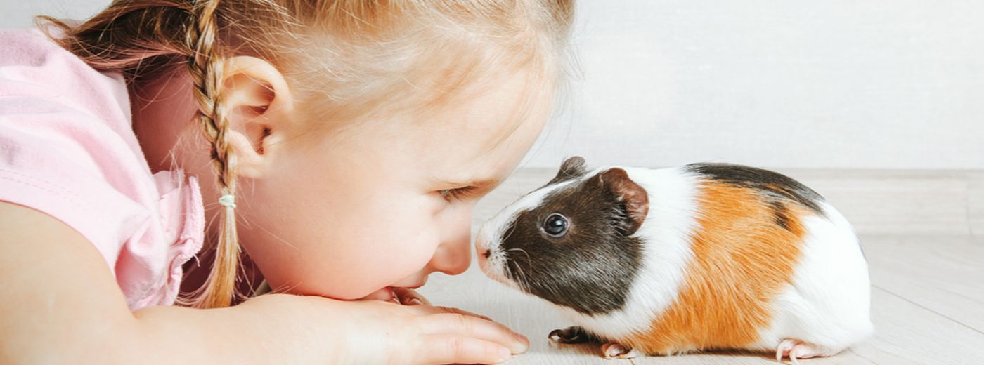 Choosing The Best Pets For Children ManyPets