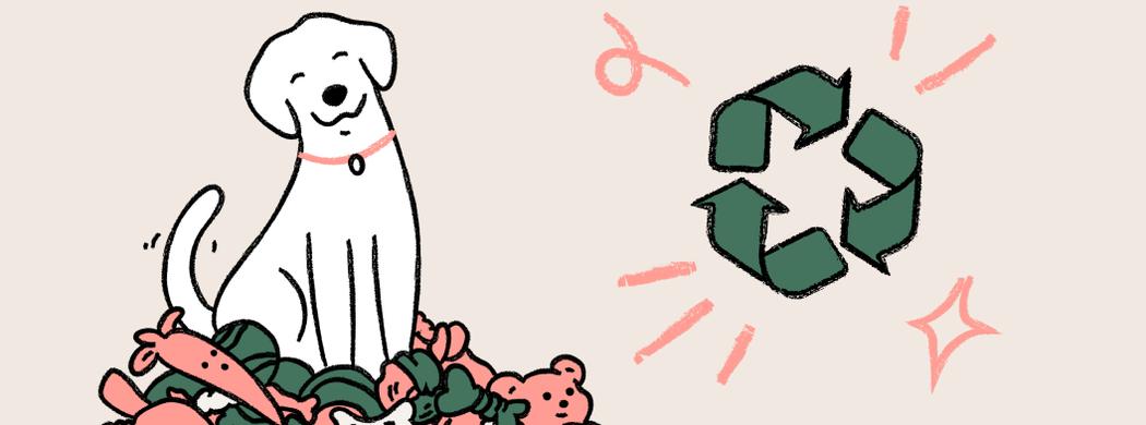 5 tips to reduce your pet product waste | ManyPets