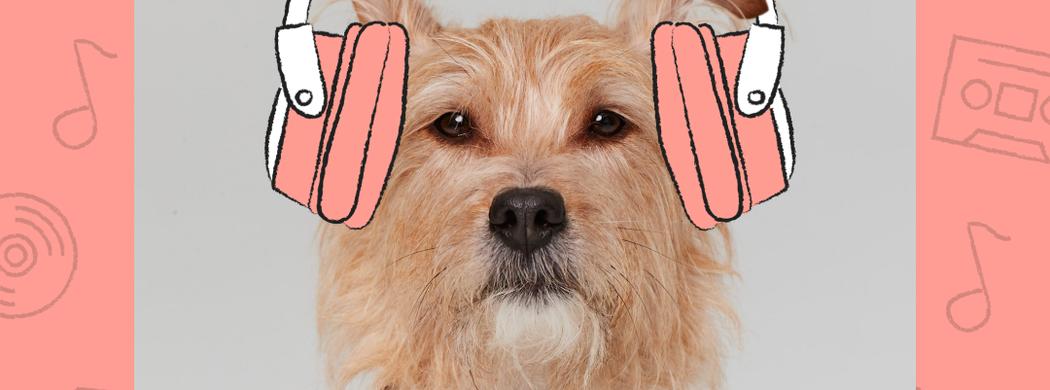 Soothing sale puppy music