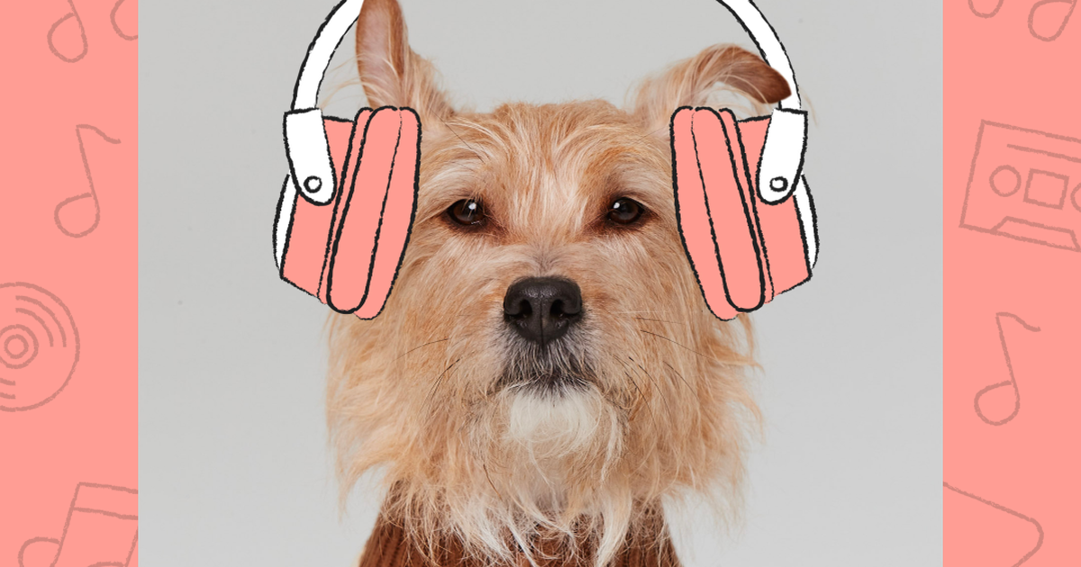 Soothing music for 2024 dogs during thunderstorms