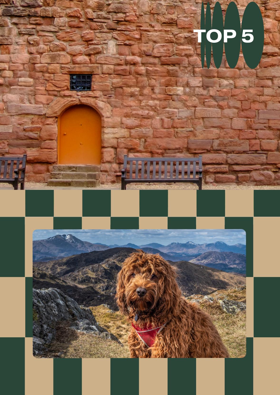 one image of a red brick castle wall with an orange door, and a separate image of a brown shaggy dog in the scottish highlands