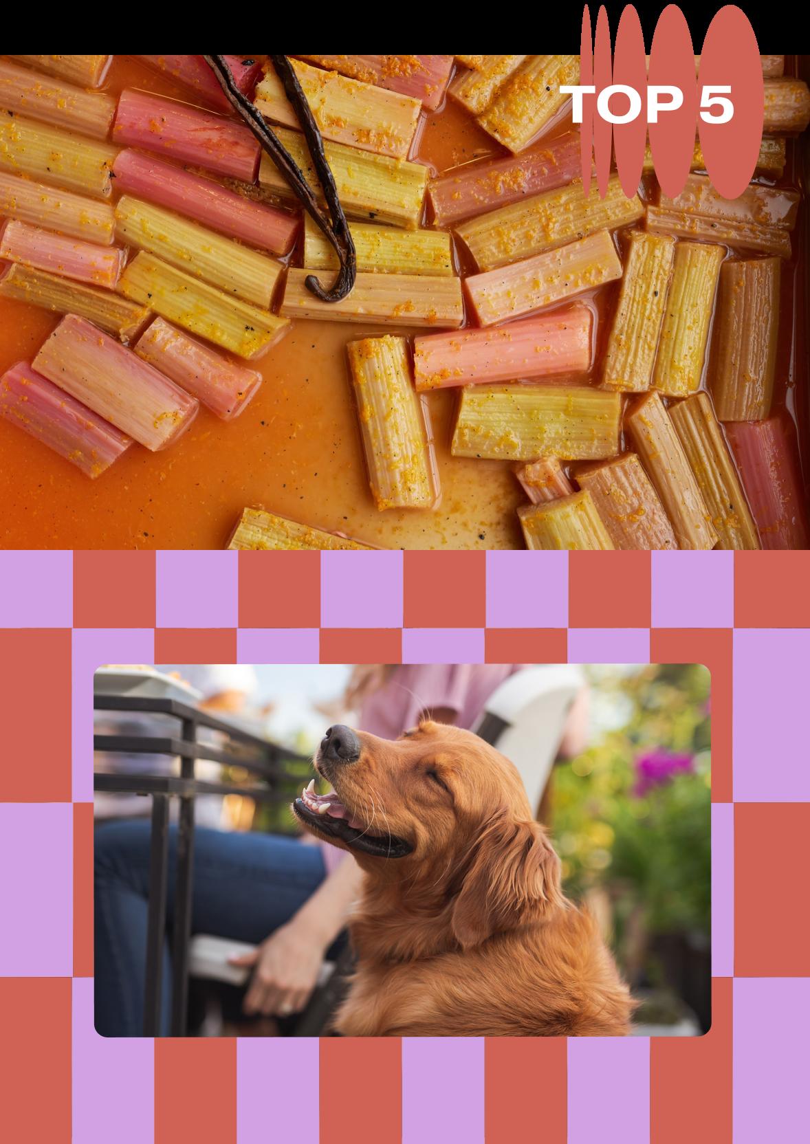 no