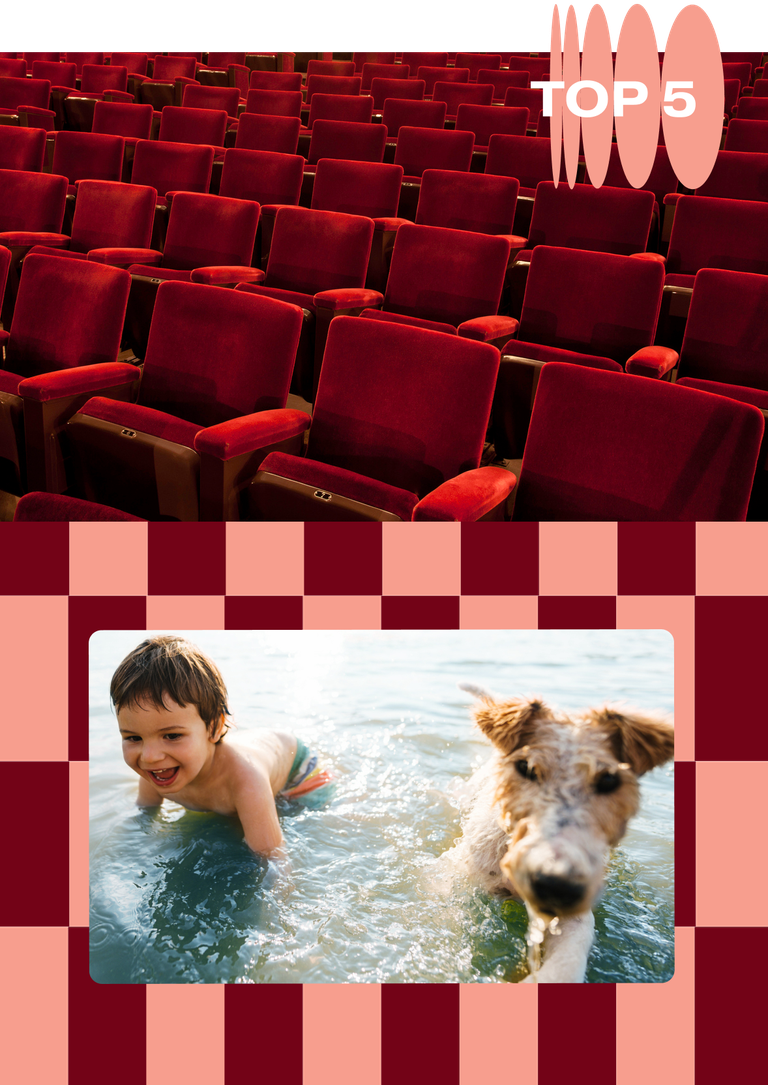 manypets-approved-pet-friendly-city-guides-manypets