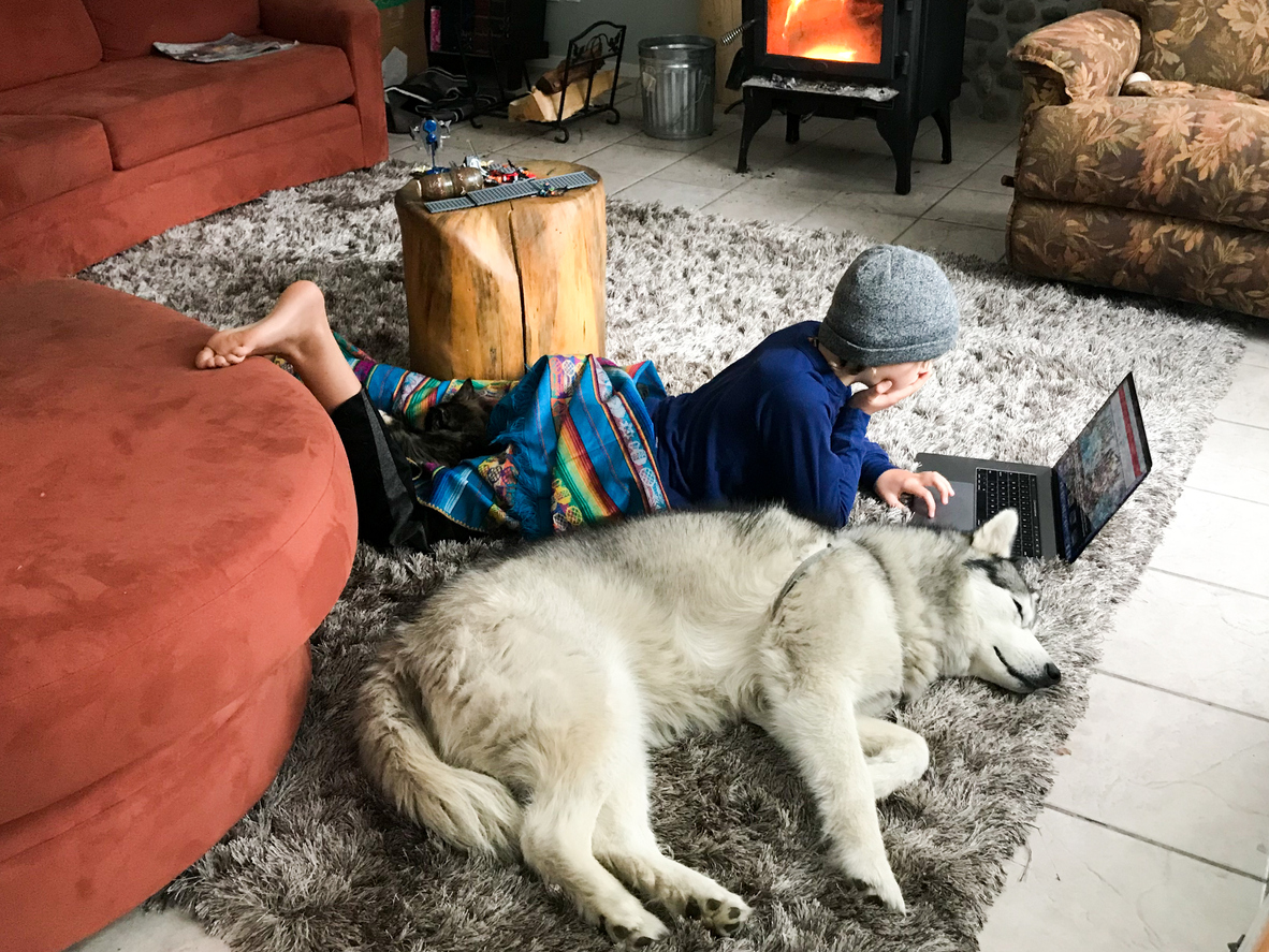 The Best Dogs For Children Family Friendly Breeds ManyPets