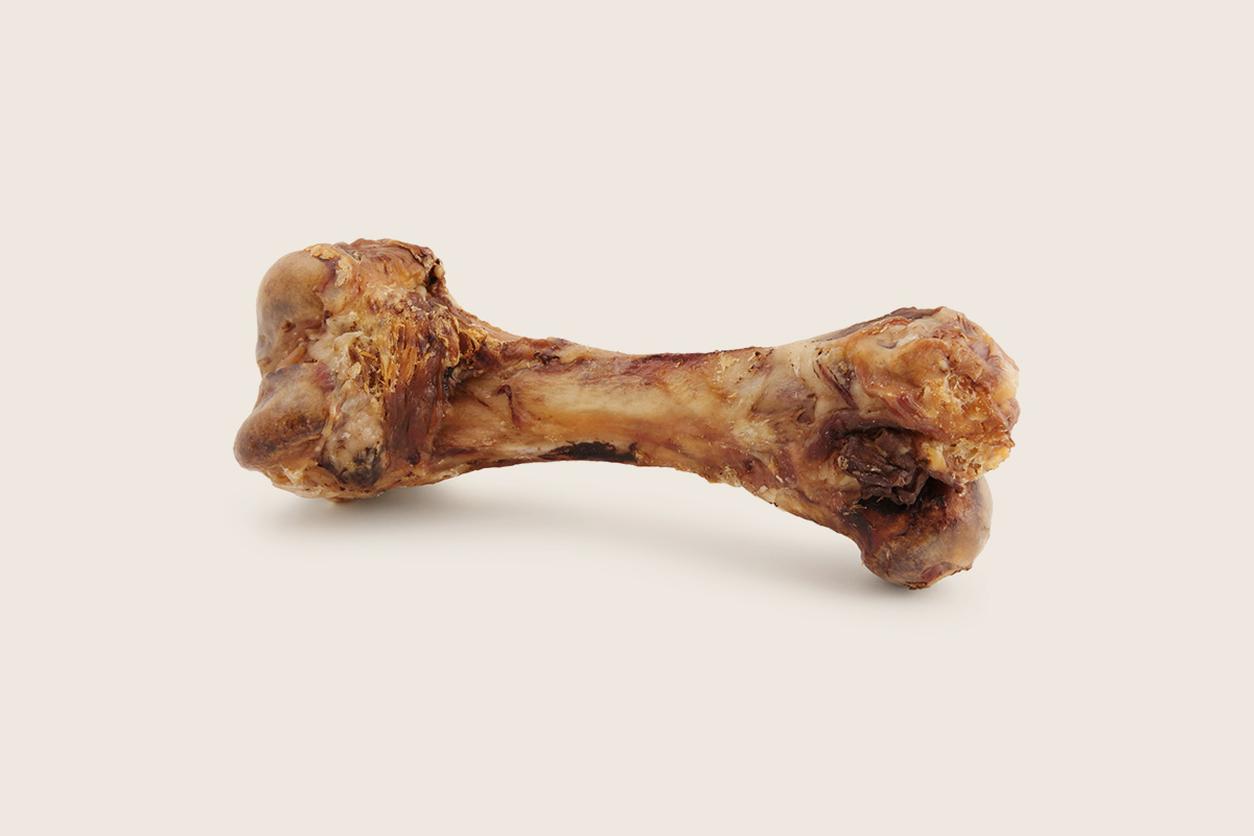 Bone on beige background