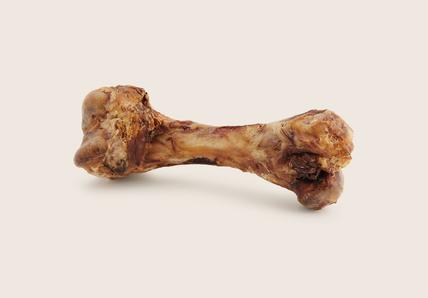 Bone on beige background