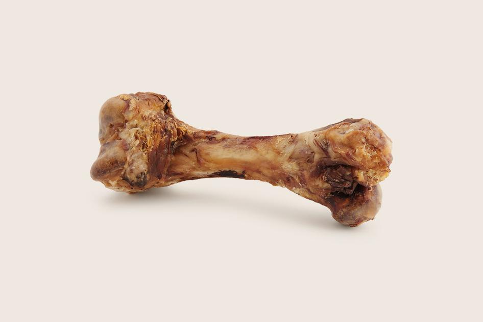 Bone on beige background