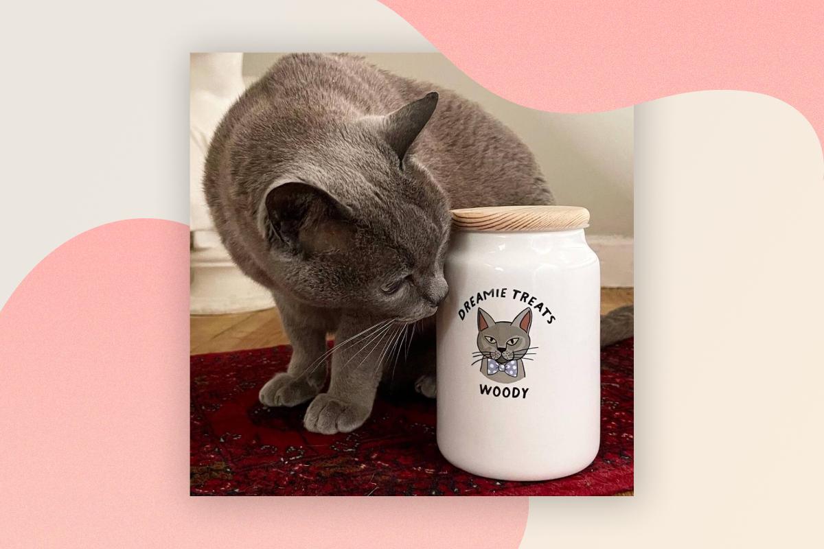 Cat treat jar