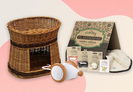 2023 must-buy gifts for you cat