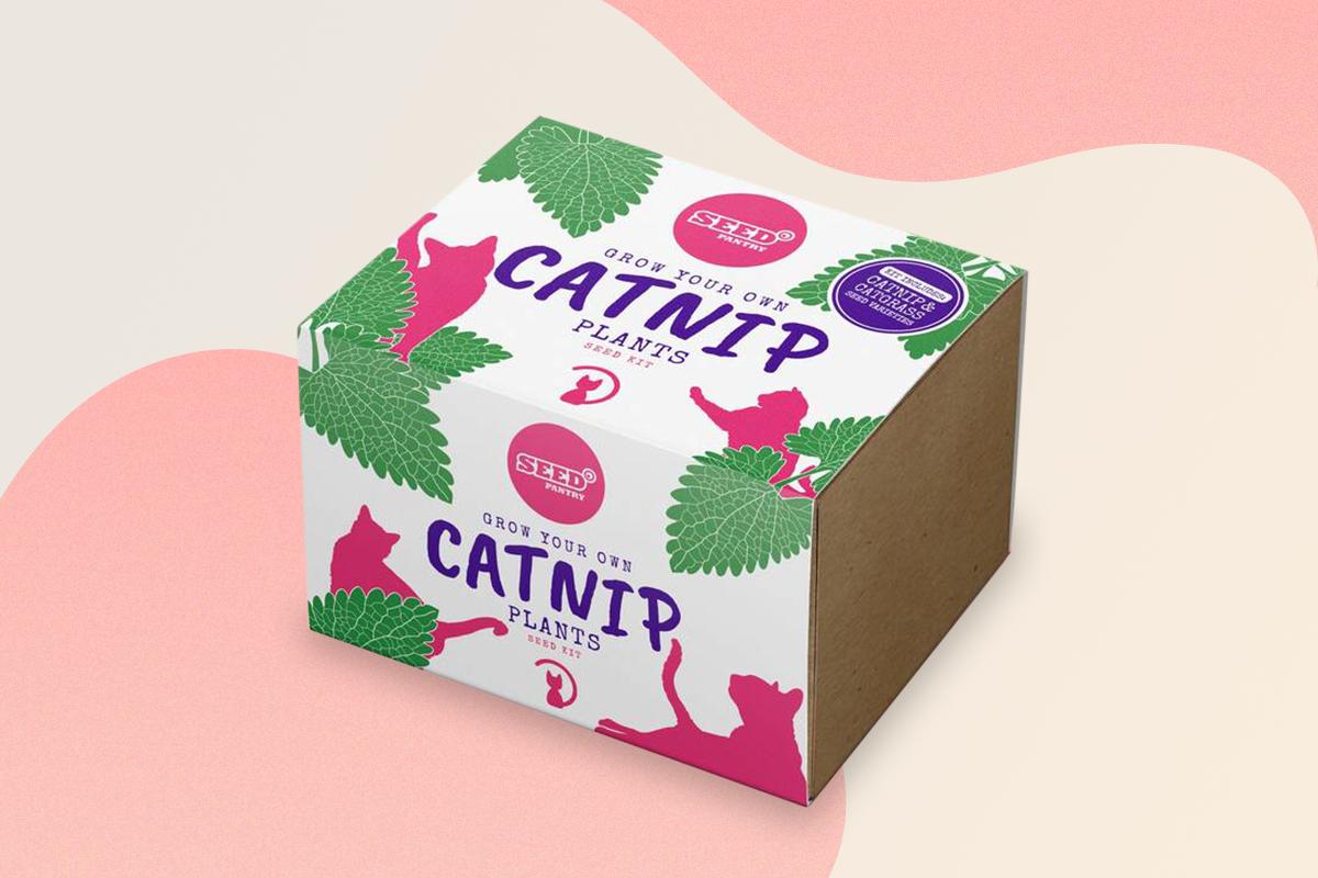 Cat Nip