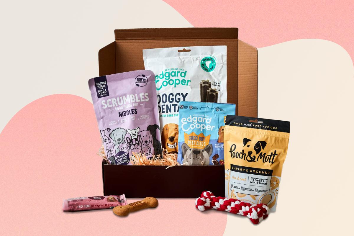 Petite Pooch Gift Box, by The Handmade Christmas Co.