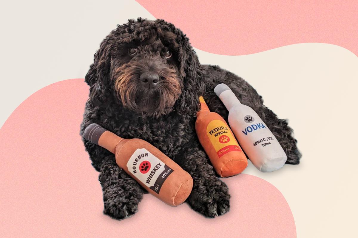 Vodka, Bourbon And Tequila Bottle Soft Dog Toy, by Dolly’s