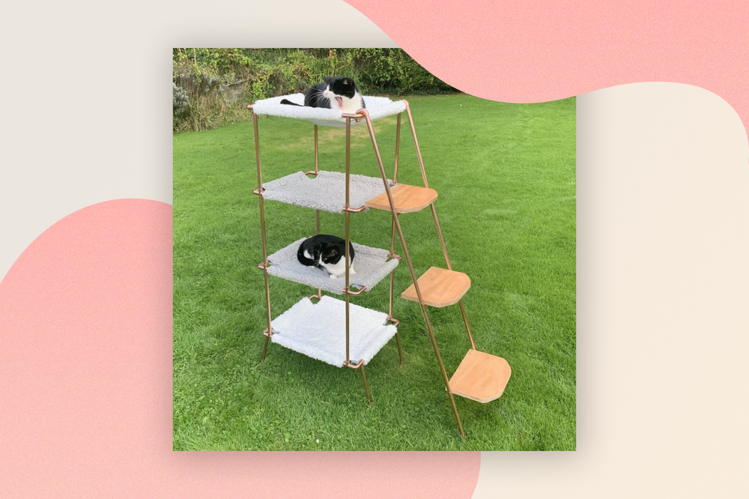 The top 10 Christmas gifts you have to get your cat in 2023 ManyPets