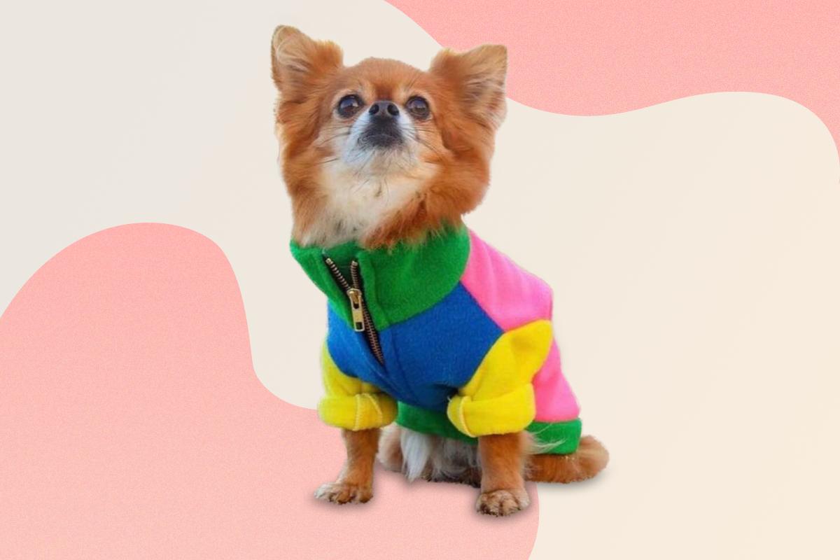 Gatsby 90s Dog Fleece, by The Distinguished Dog Company