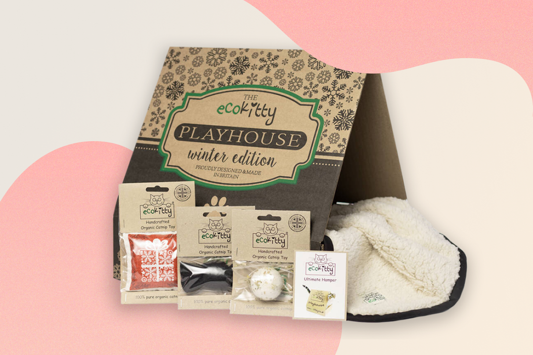 The top 10 Christmas gifts you have to get your cat in 2023 | ManyPets