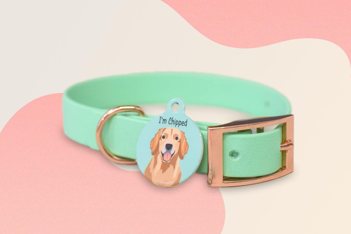 Sea Foam Dog Collar And Matching ID Tag
