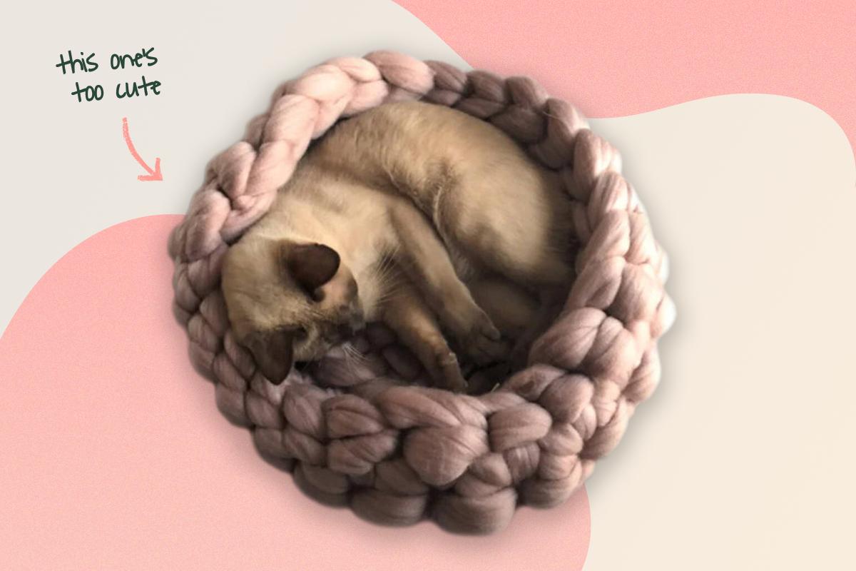 Cat cocoon