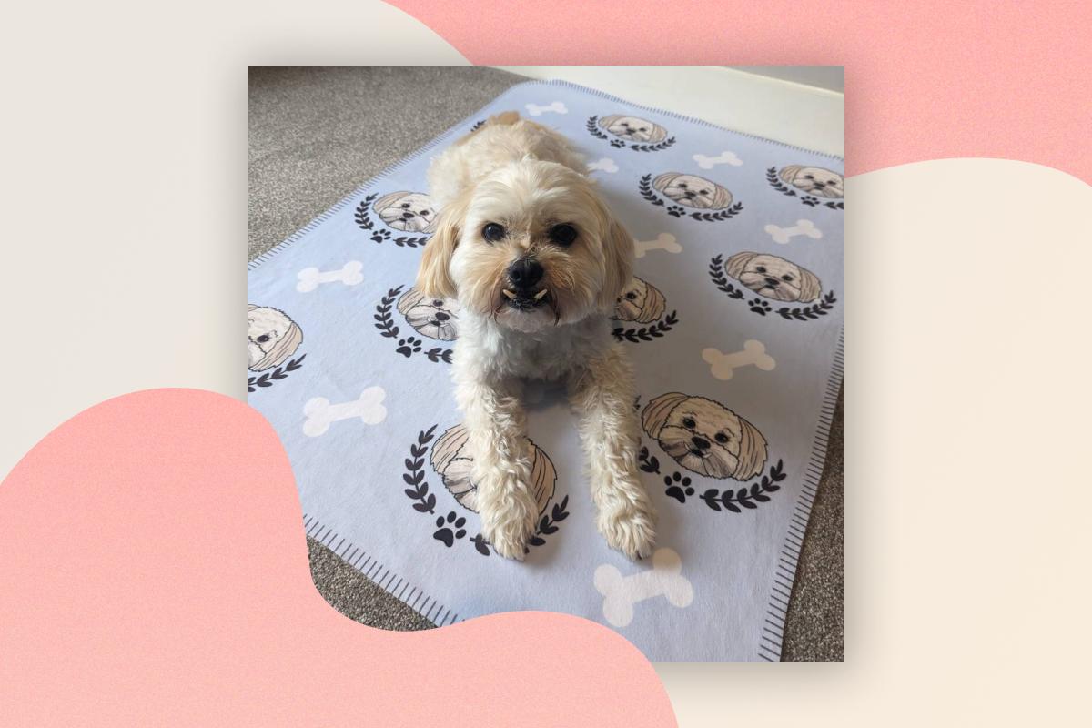 Ulti Mutt Repeat Personalised Pet Blanket, by Syd&amp;Co