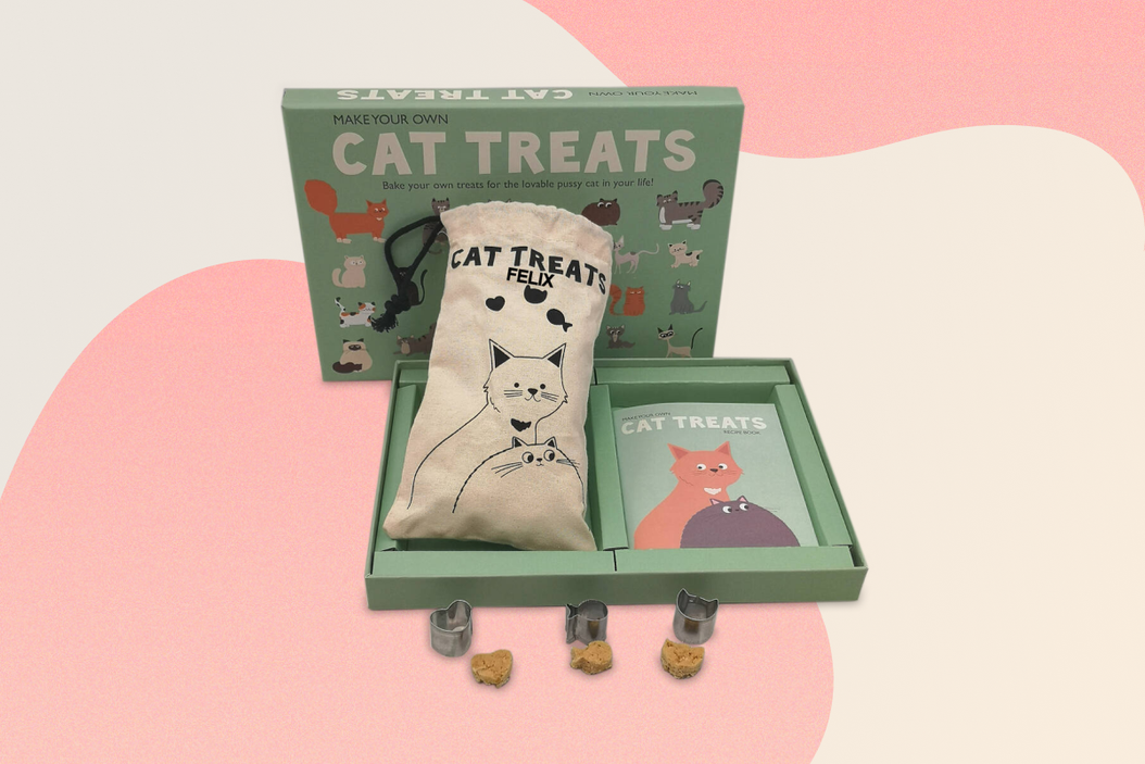 The top 10 Christmas gifts you have to get your cat in 2023 | ManyPets