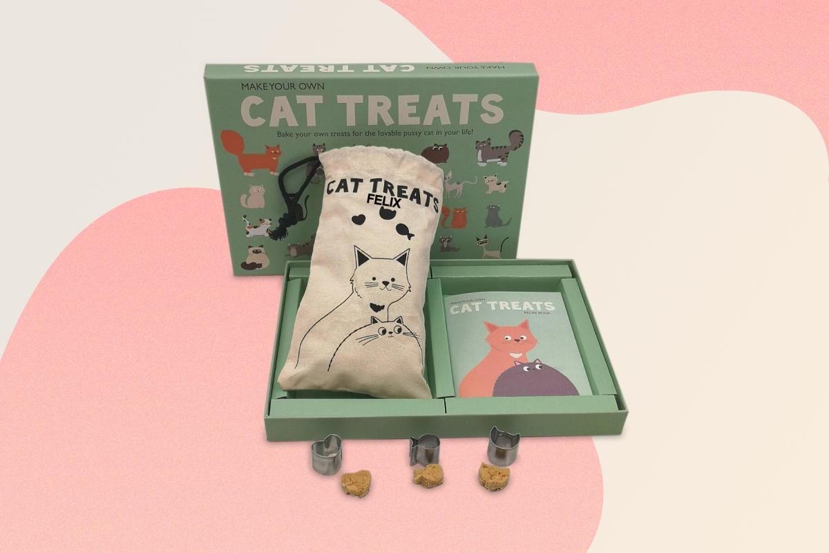 Make your own cat treats kit