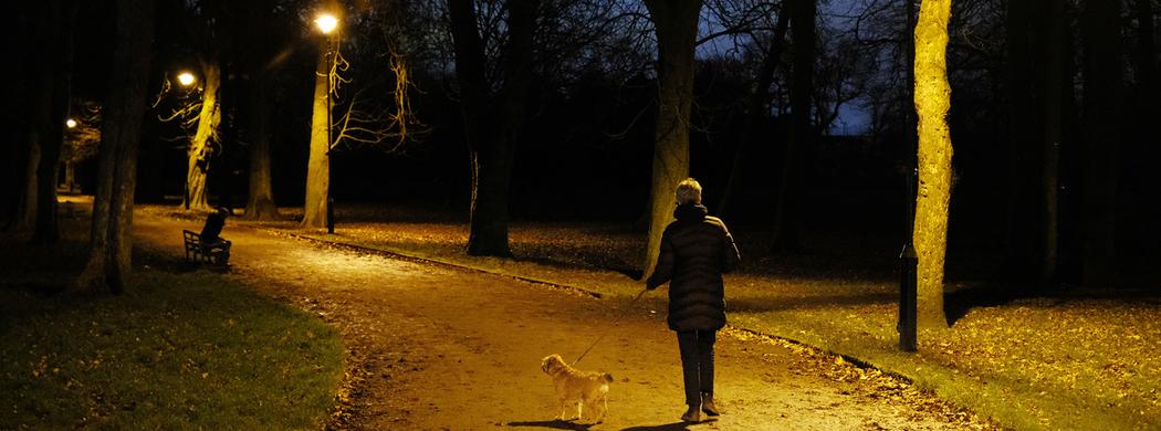 Walking a dog in the dark