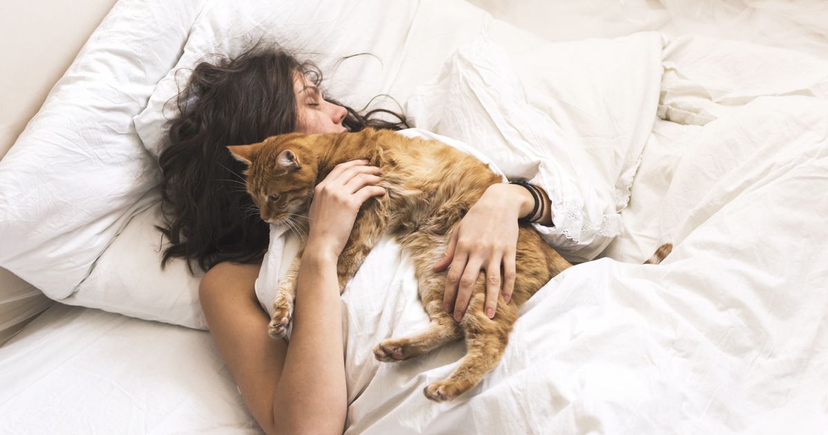 Do you share a bed with your pet? It could help you sleep better