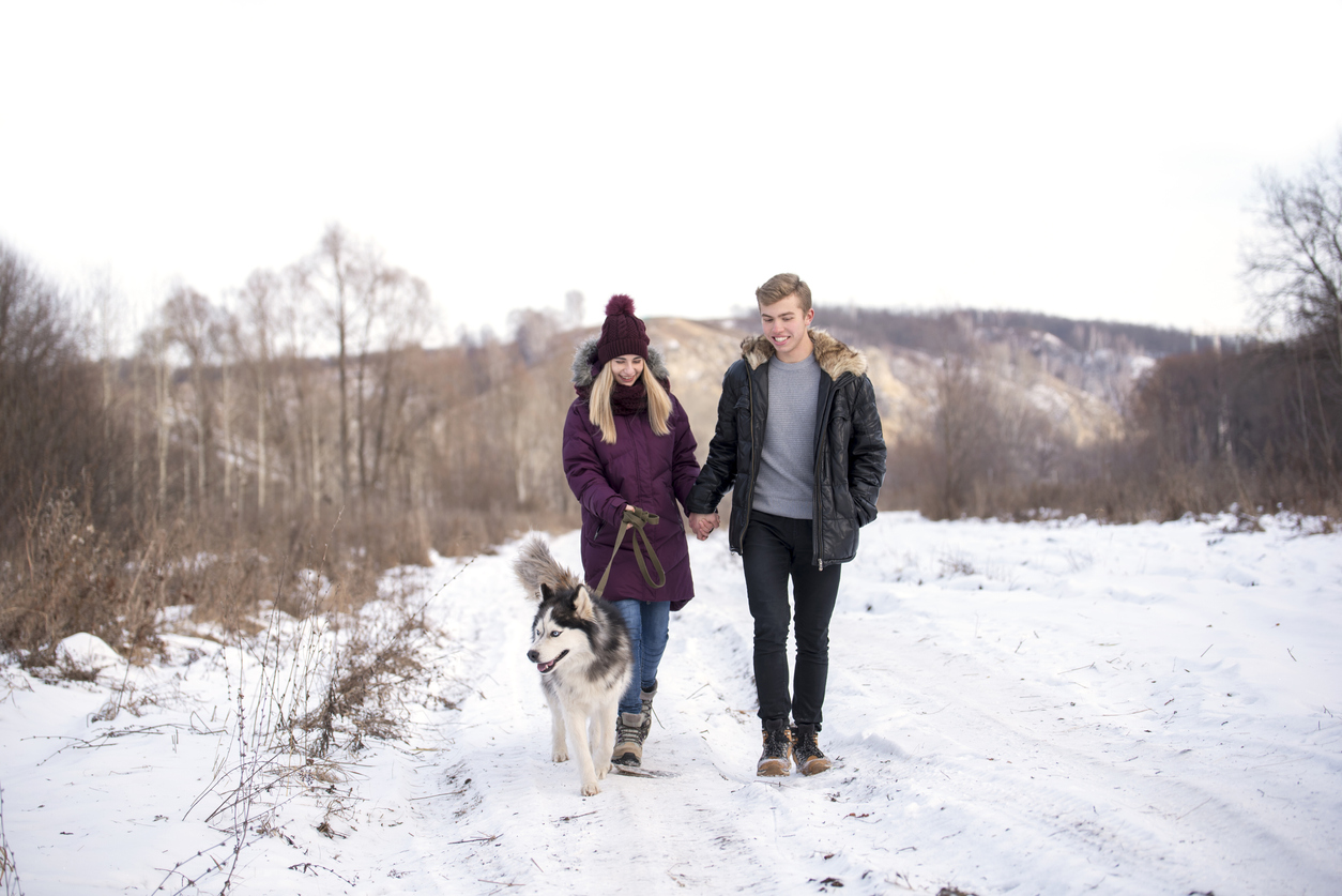 The ultimate guide to walking your dog in winter ManyPets