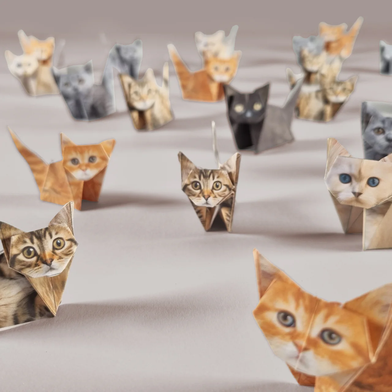 Image of an origami cat kit featuring different types of cats in an array of colours like orange and brown