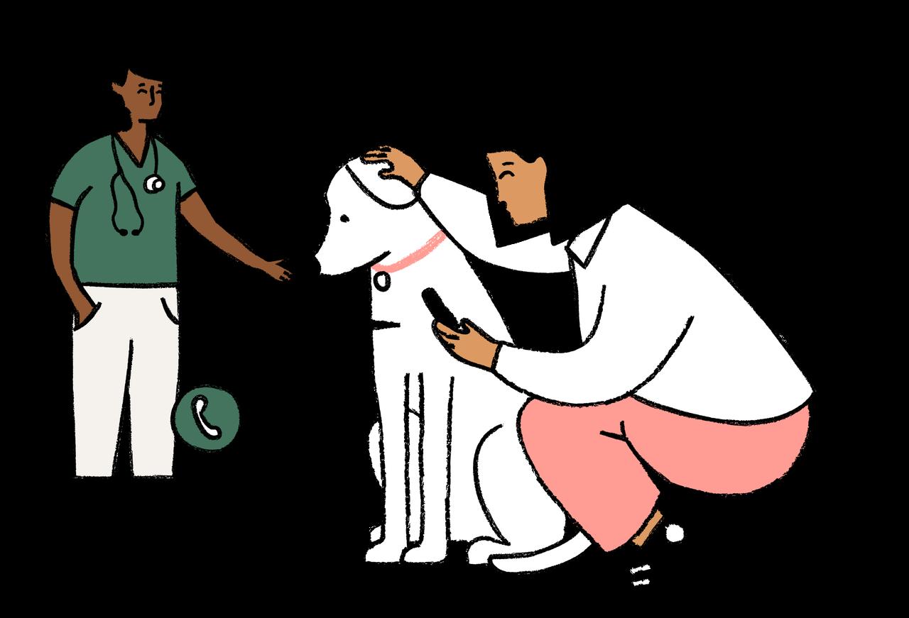 A cartoon illustration of an owner on facetime to a vet while stroking her dog