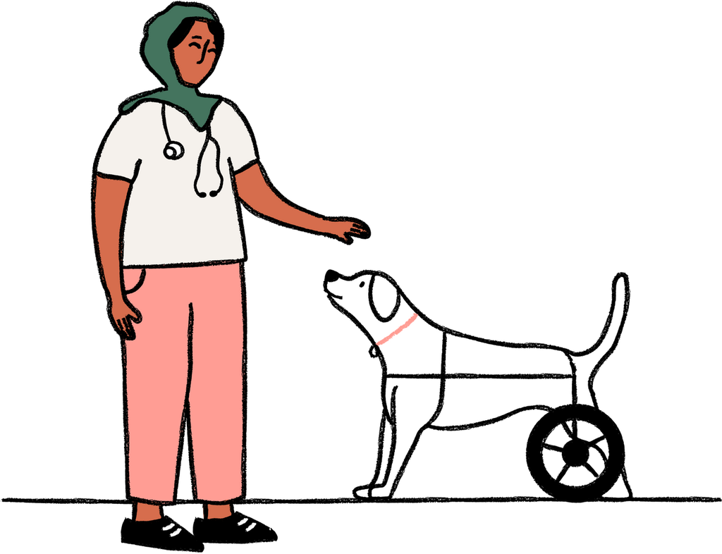 pet-insurance-for-pre-existing-conditions-manypets