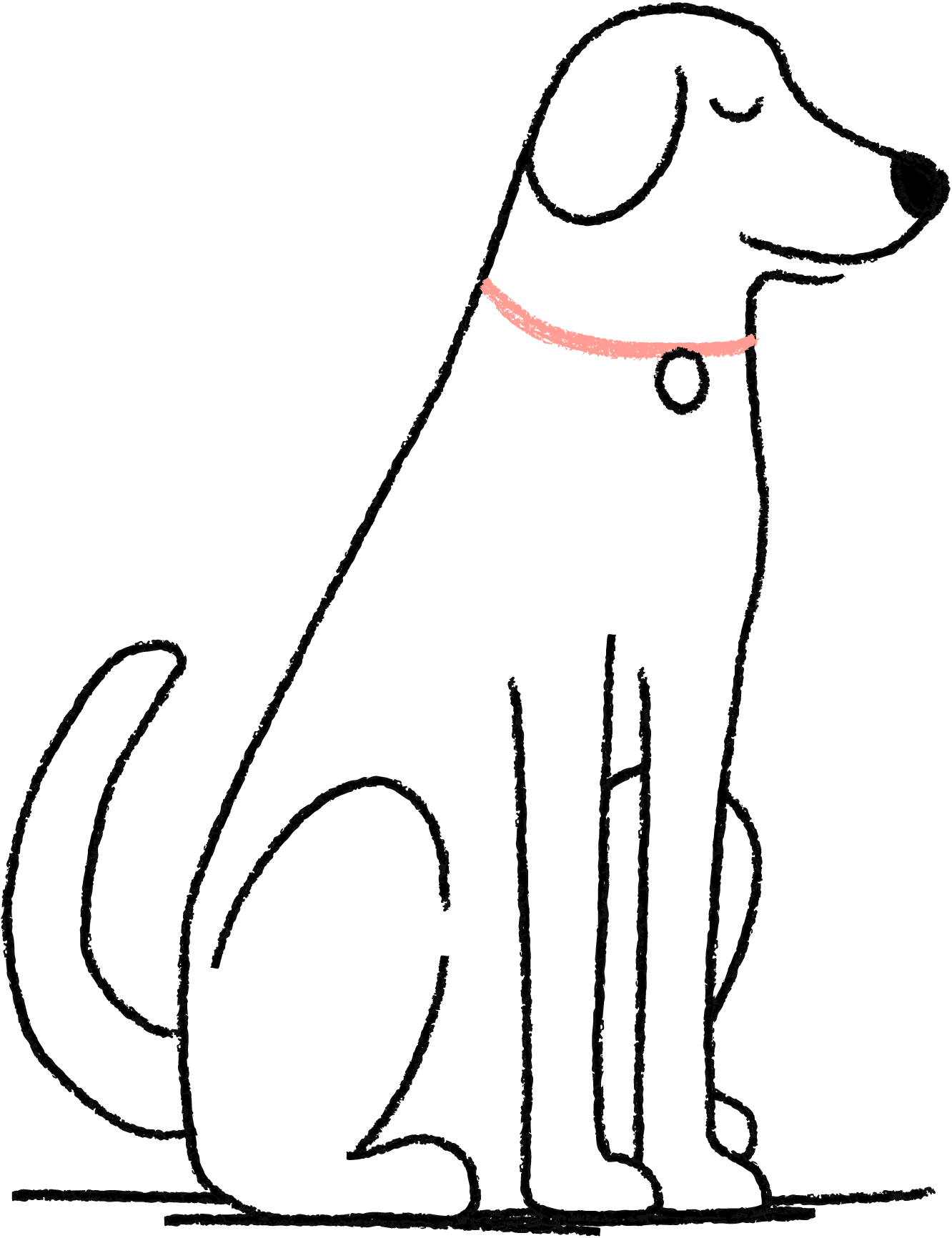 ManyPets Dog Insurance