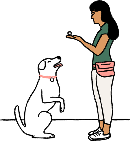 dog obedience clipart