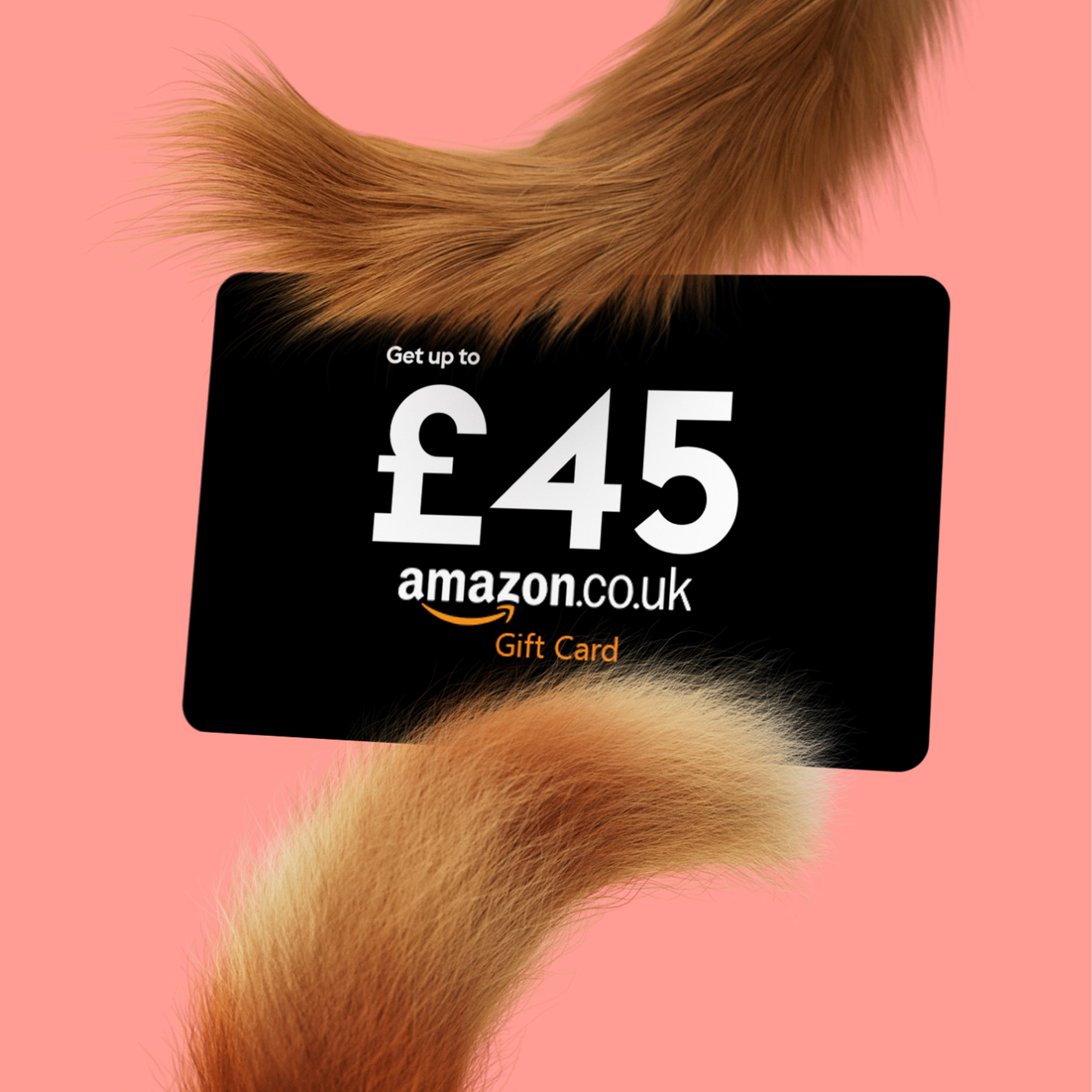 A £45 Amazon UK gift card lies on a pink background, partially covered by two furry tails.