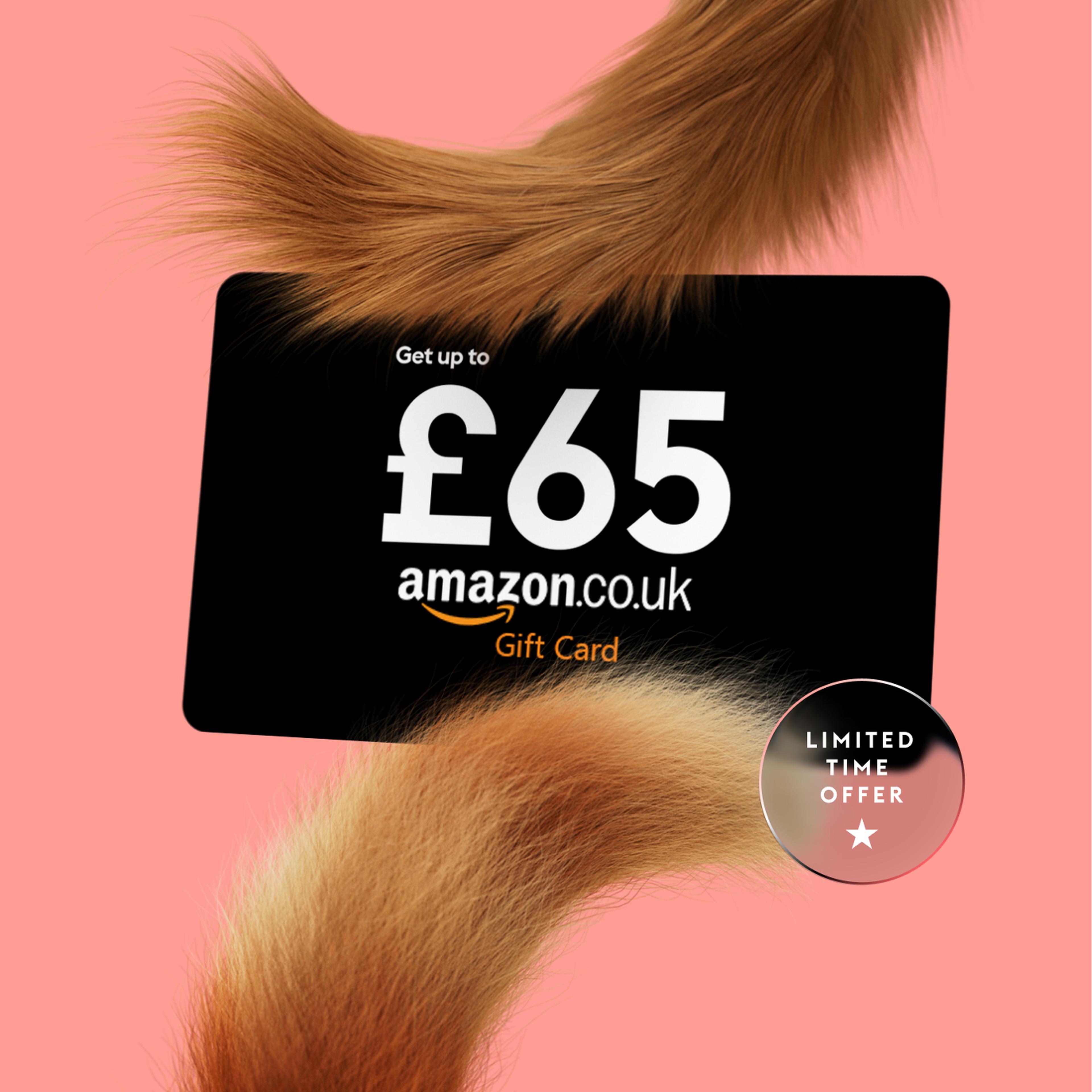 up to £65