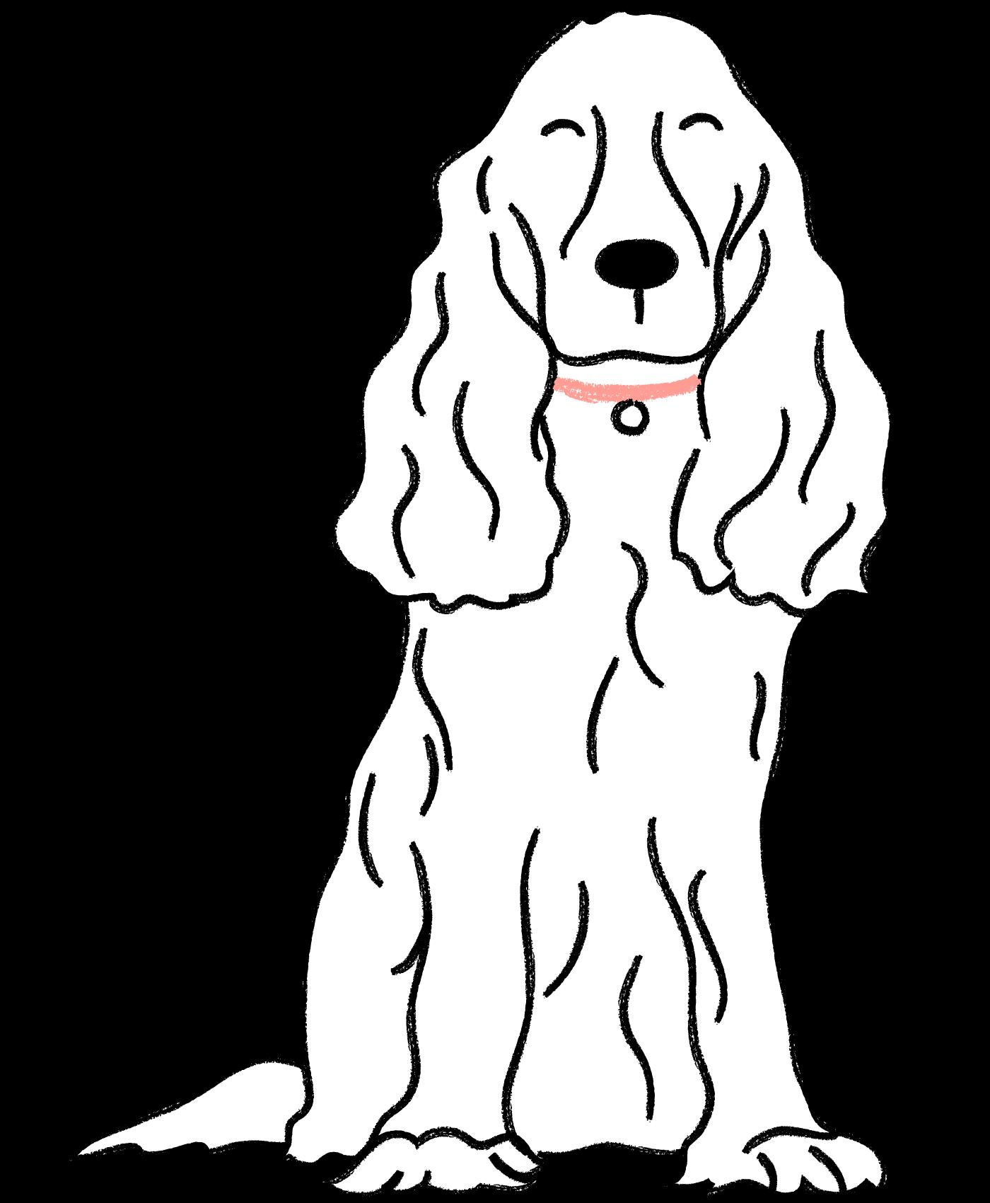 A black and white line drawing of a Cocker Spaniel with a wavy coat and wearing a red collar.
