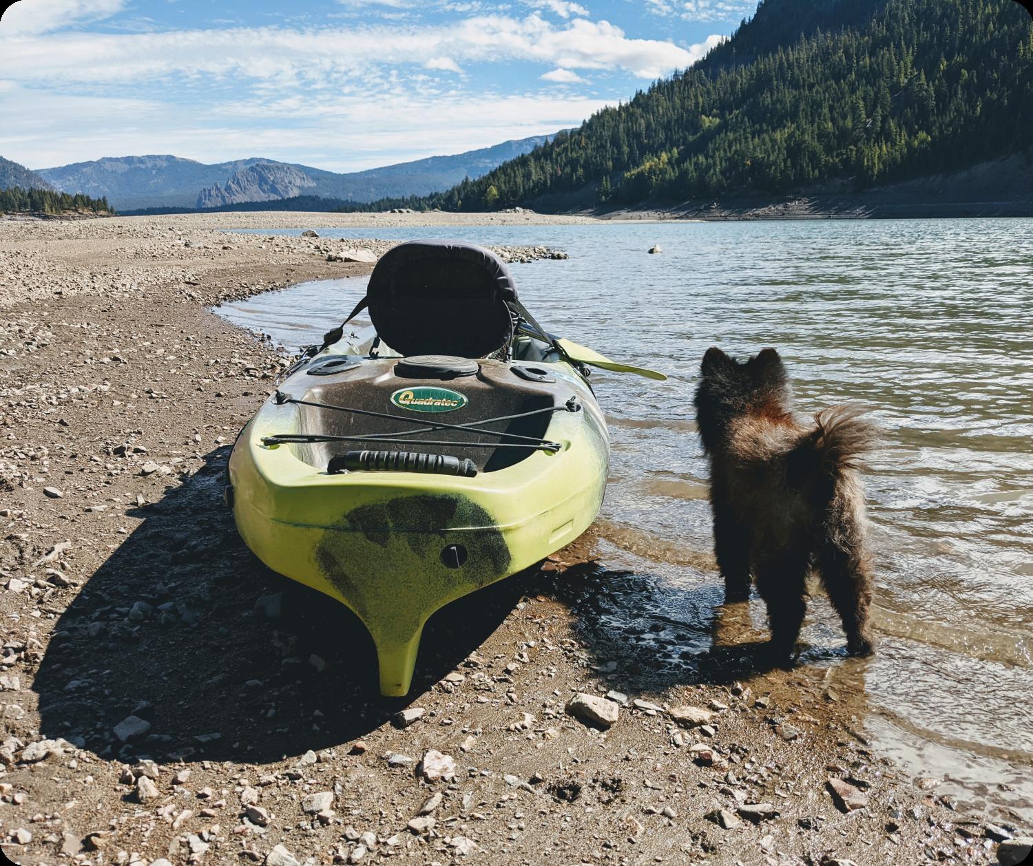 A dog standing next to a kayak on the shore of a lake. The dog seems ready for an adventure on the water.