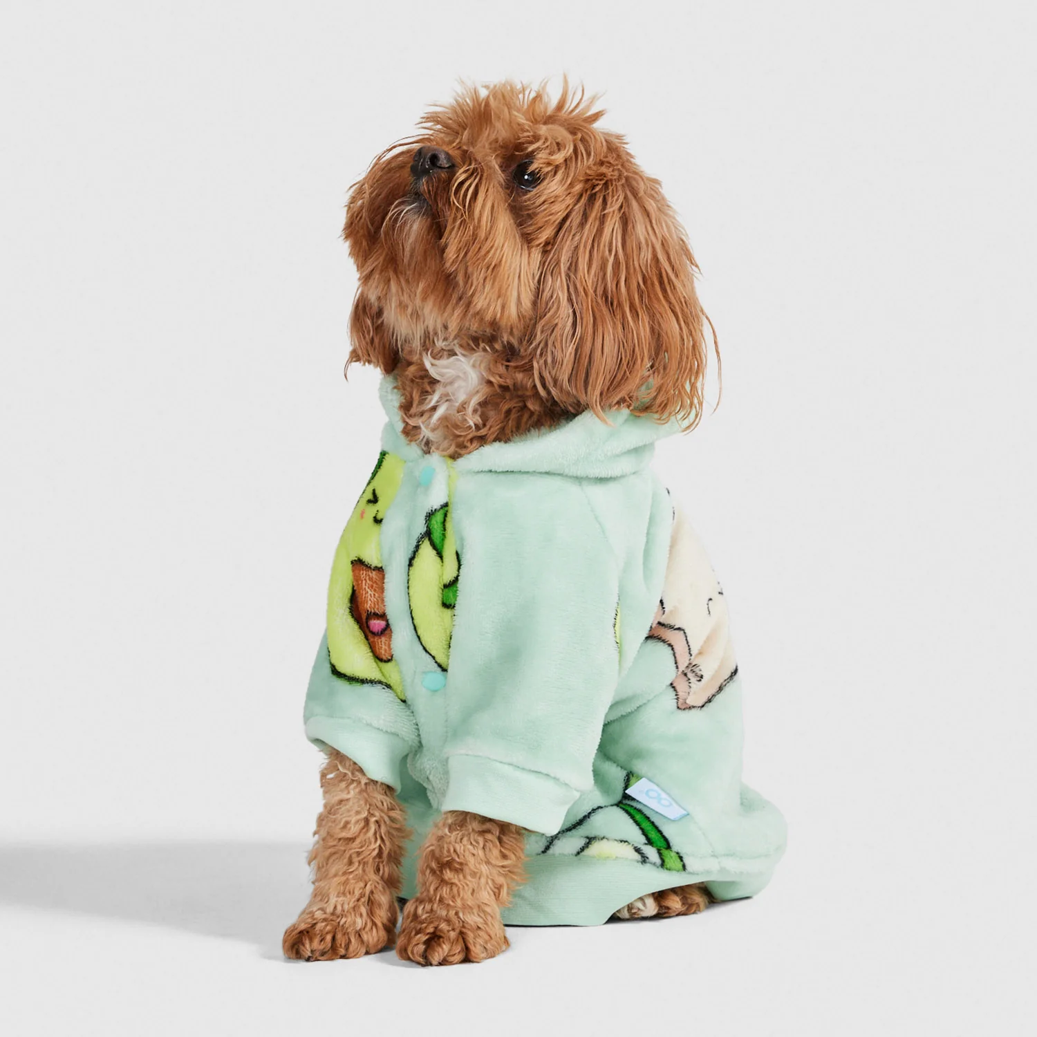 Brown dog in an avocado-themed Oodie