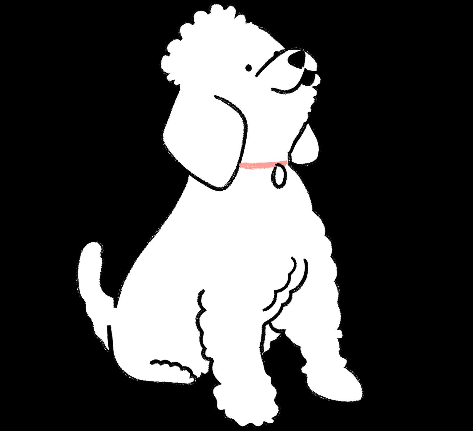 MP_Moment_Talking_Dog_1