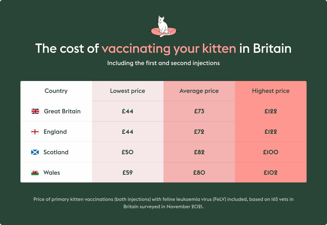 How much does it cost to vaccinate dogs and cats in the UK? ManyPets