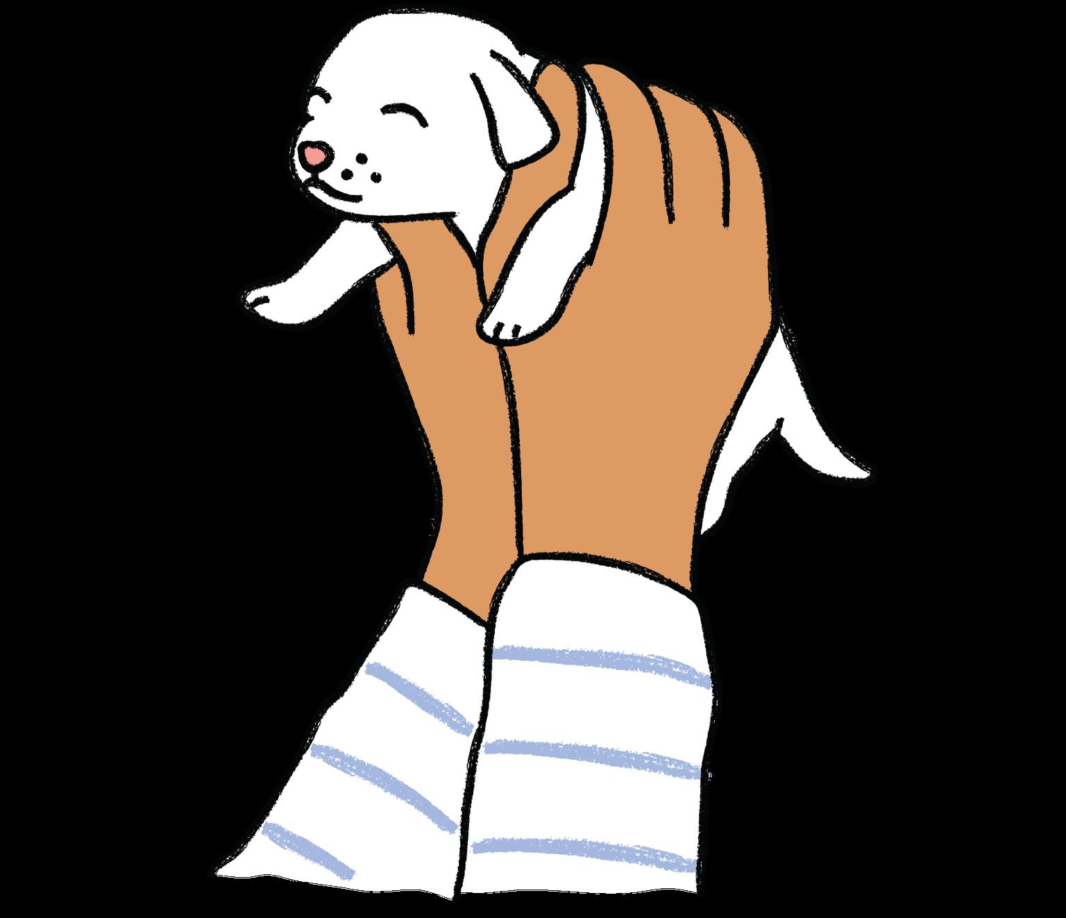 Hands holding up a puppy