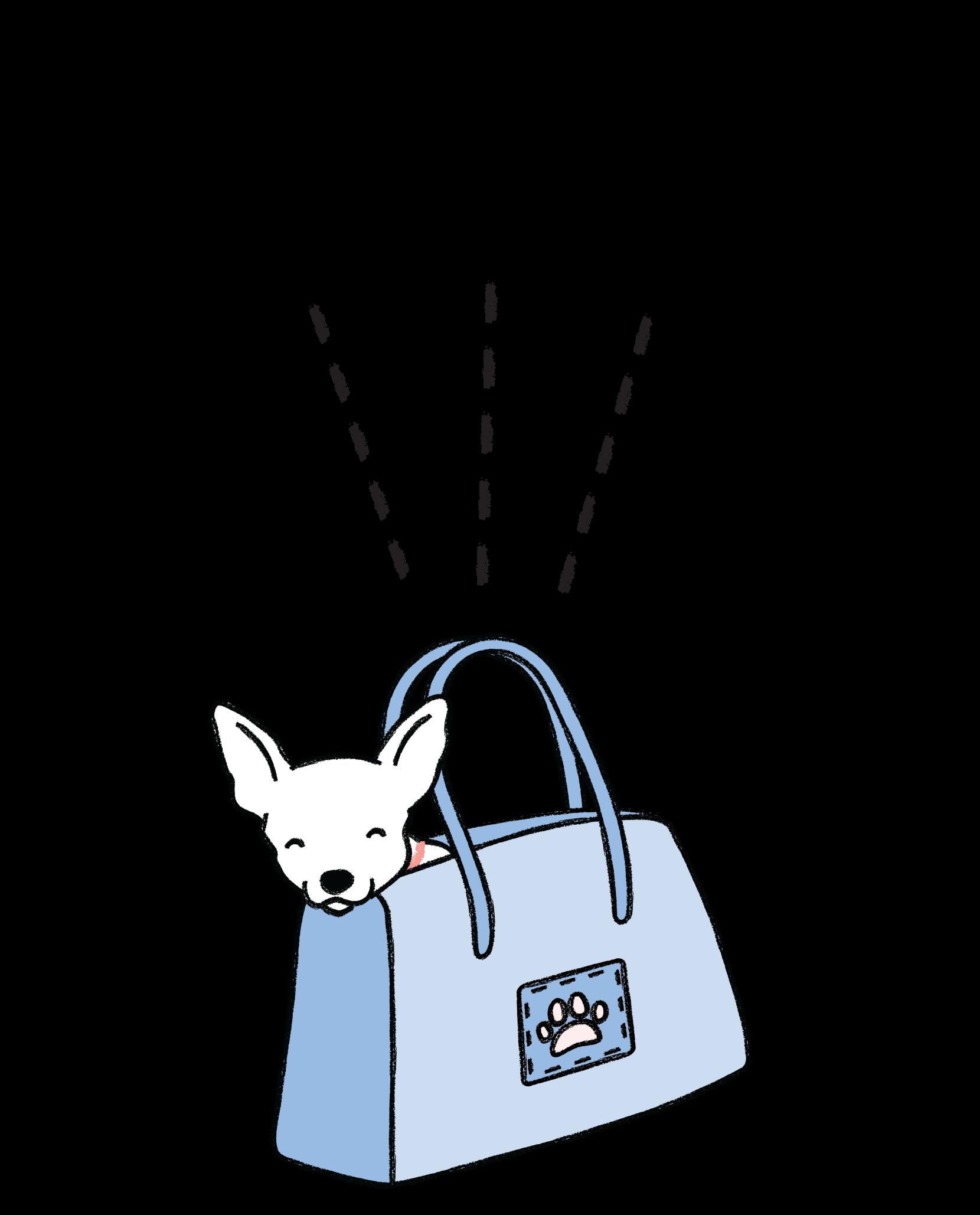 Small dog in blue travel bag