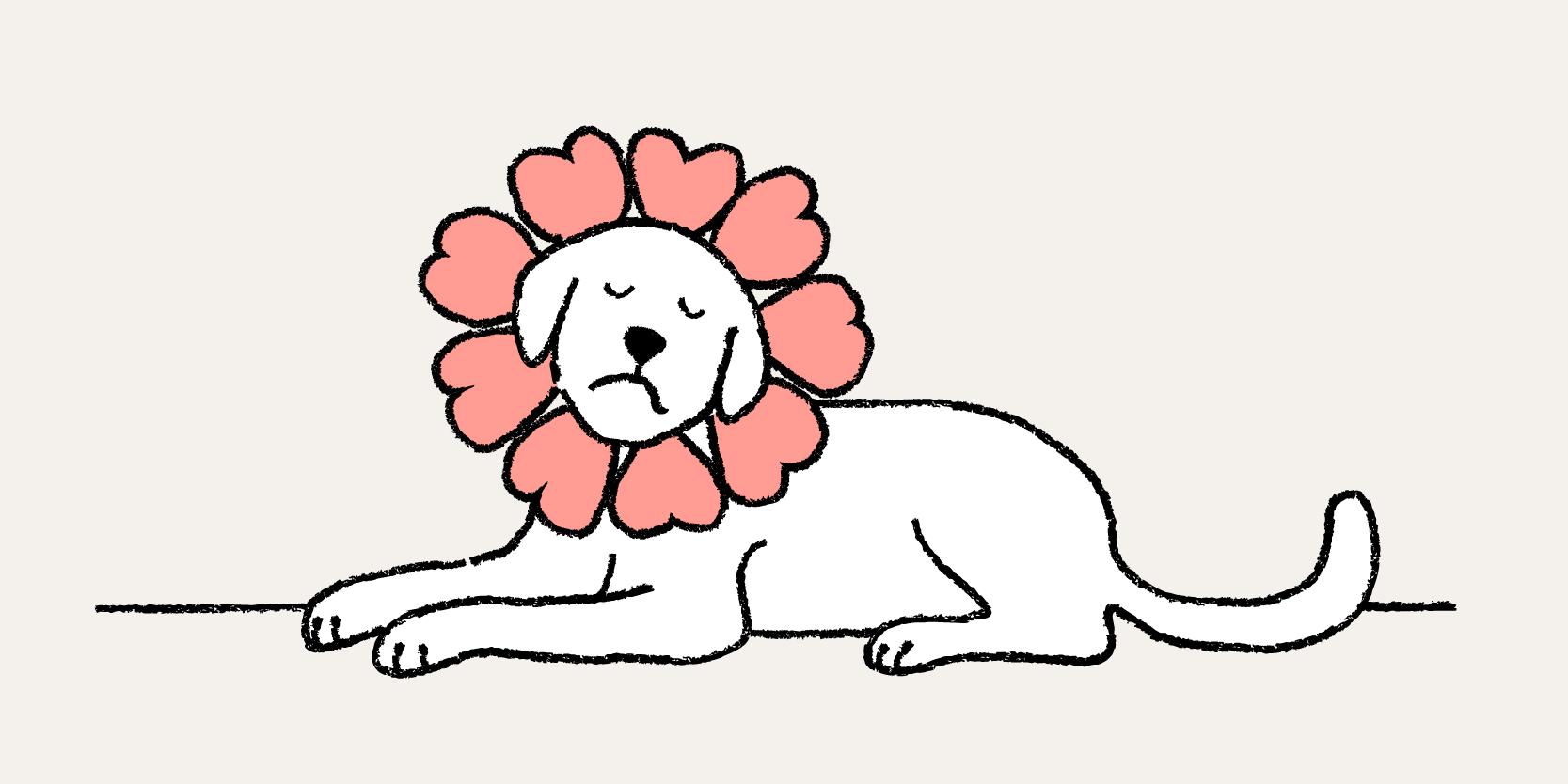 A dog with a flower collar