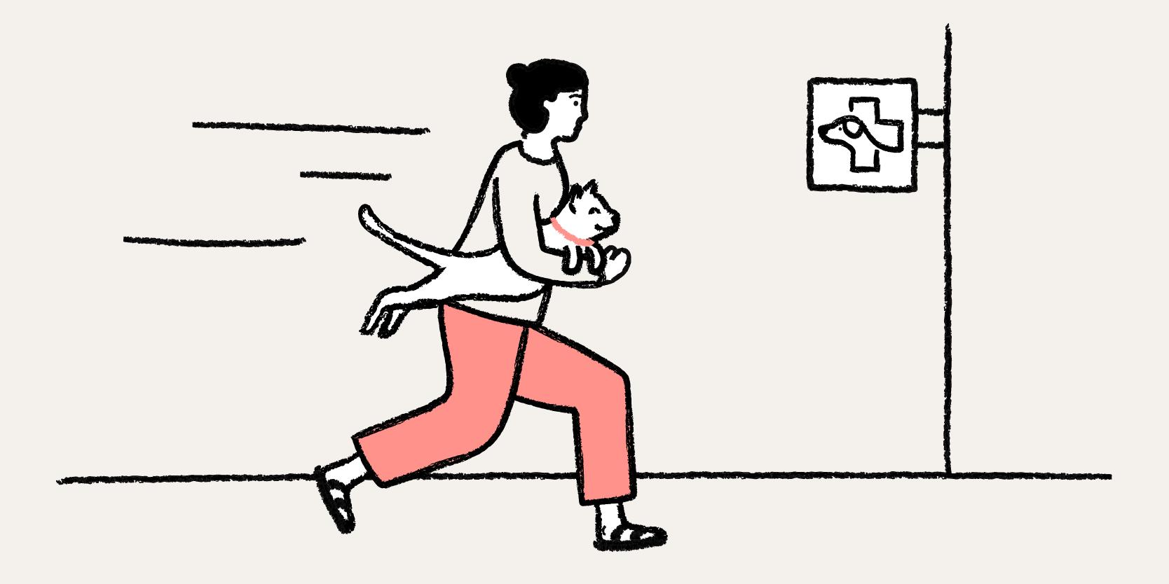 Woman running with her cat to the Vet