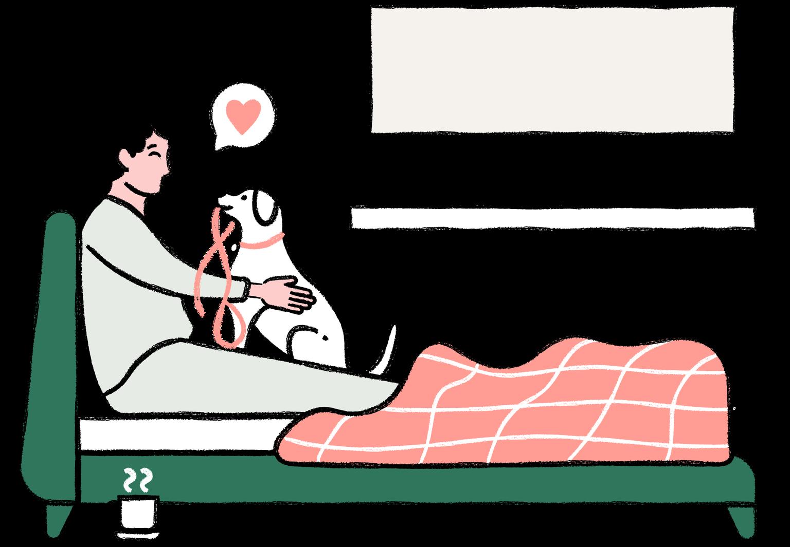 MP_Walkies_Bed_Dog