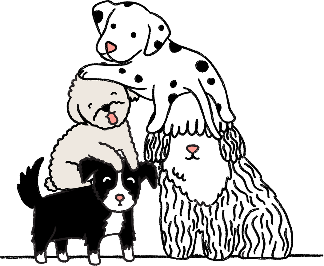 Compare Pet Insurance Online ManyPets