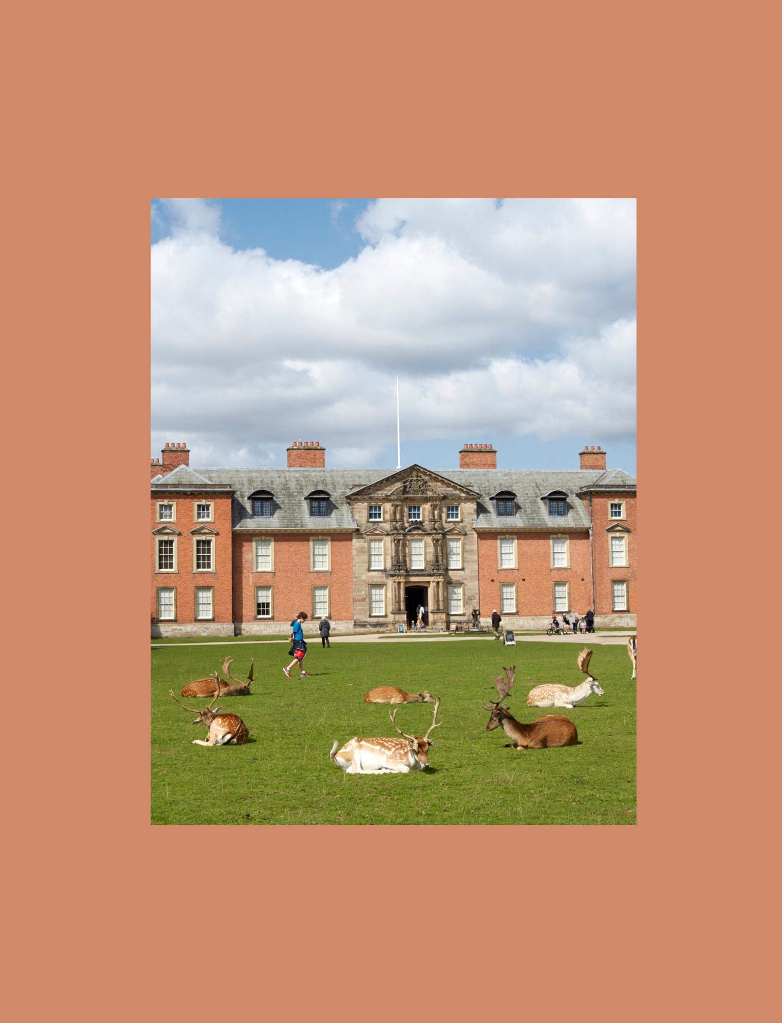 An elegant red brick Georgian manor, Dunham Massey, stands prominently with deer resting peacefully on its vast front lawn under a partly cloudy sky.